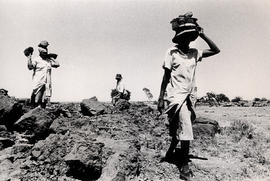 Black women repairing a road in Mogopa, at the time of their forced resettlement in Bophuthatswan...