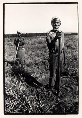Farm workers in Natal - old man and woman