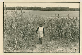 Petrus Kunene's daughter in a field