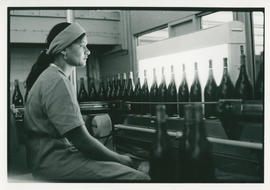 Women inspecting bottles in a bottling plant in Cape Town.