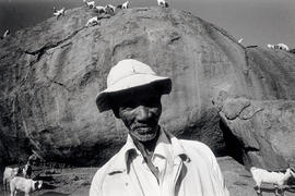 Mr. Petrus with his goats, famer in the Kuboes area of Namaqualand, a rural area for coloured peo...