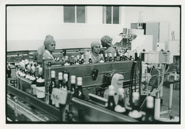 Women workers in a bottling plant in Cape Town