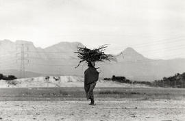 Black woman walking with bundle of branches on her head on her way back home in Site C Khayelitsha