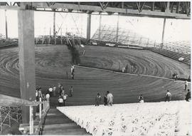 Sun City Stadium, beginning 1980s