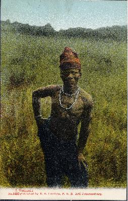 Bushmen man standing in a tall grass, Bushmen postcard