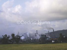 SAPPI paper mill. Mandeni, KwaZulu Natal