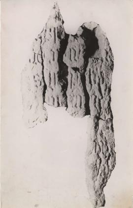 Photo of fragments of Diaz Cross (by W Paff, University of the Witwatersrand)