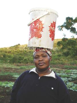 Sebenzile Goodness Ndlovu watering her vegetable garden five km from her home in KwaMshaya. Mtuba...