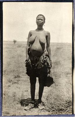 Bushman Woman, Nossop