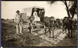 Women riding on the ox wagon. On the trek - Scotty, M Wilma, Hester Lennox