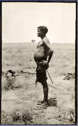Bushman Standing in the field, Nossop